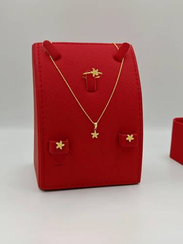 Set 18k Gold
