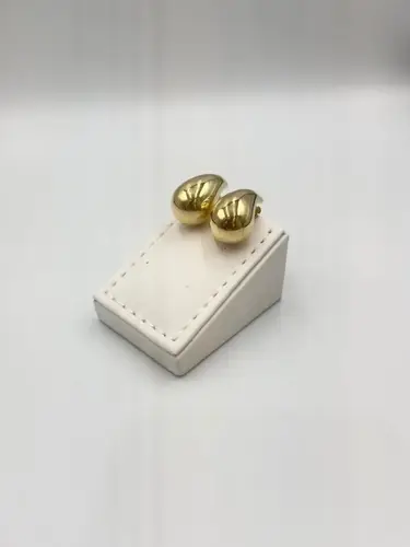 Earrings18k