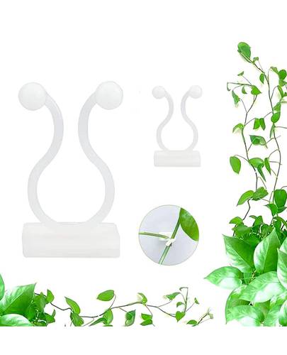   اداة تثبت النباتات على الجدار  العدد ١٠٠