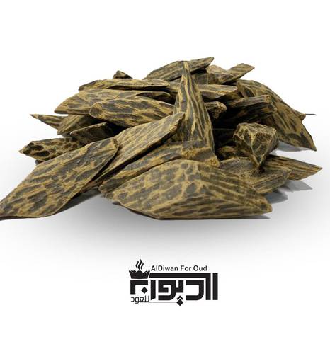 كمبودي بلس