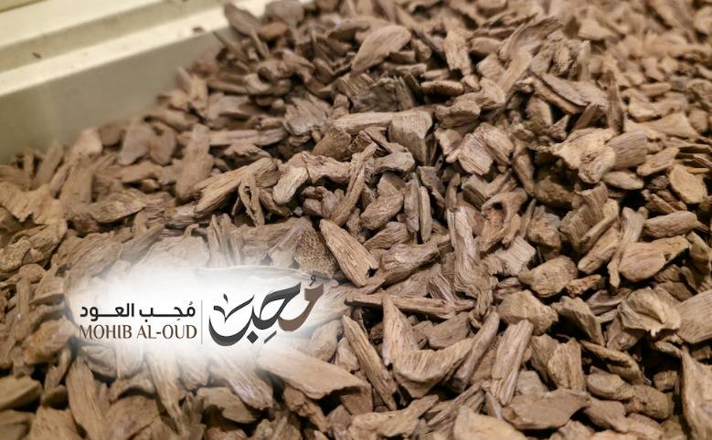 دقة مروكي