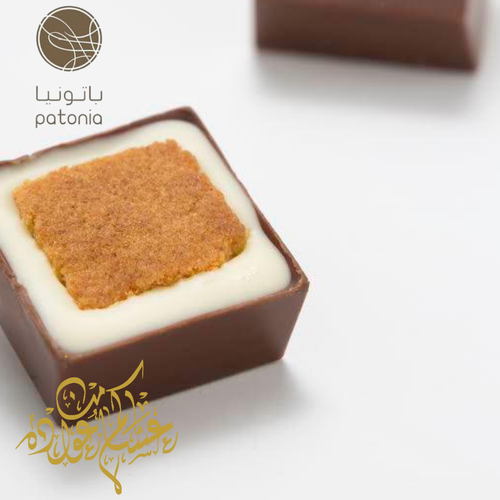 شوكولاتة البسبوسة