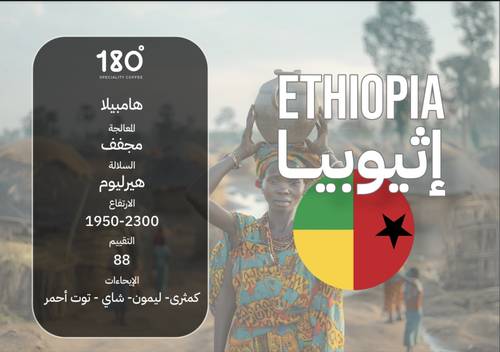 إثيوبيا هامبيلا