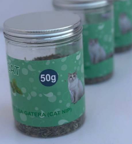 كات نيب للقطط 50غ