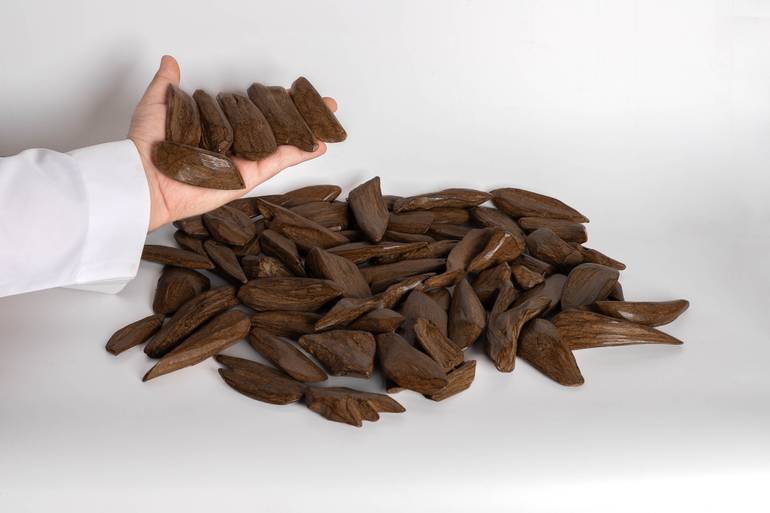 مروكي المجالس 