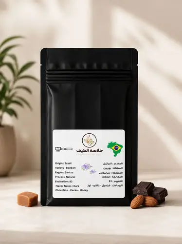 البرازيل