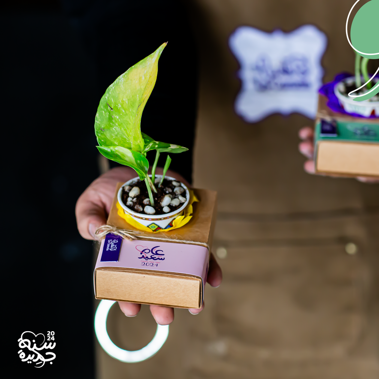 نبتة البوتس الجميلة بثيم العام الجديد 
