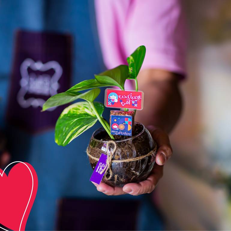 نبتة البوتس بالشوكلا بثيم #يوم_الام