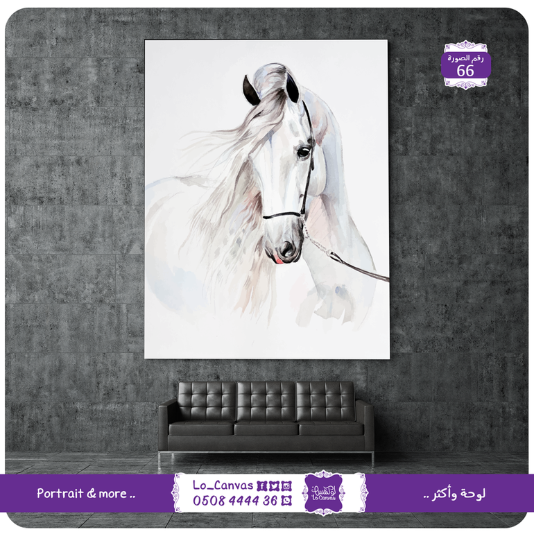 66 - جمال الخيل العربية جمال