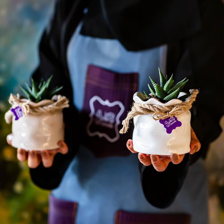 نبتة الصبار بالاصيص الجميل