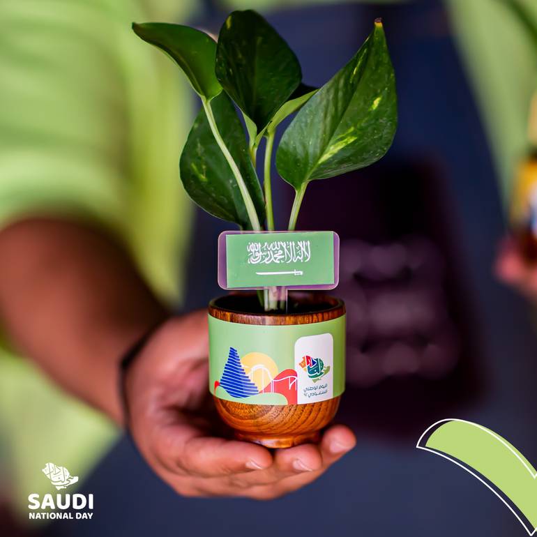 نبتة البوتس بالاصيص الخشبي بثيم اليوم الوطني