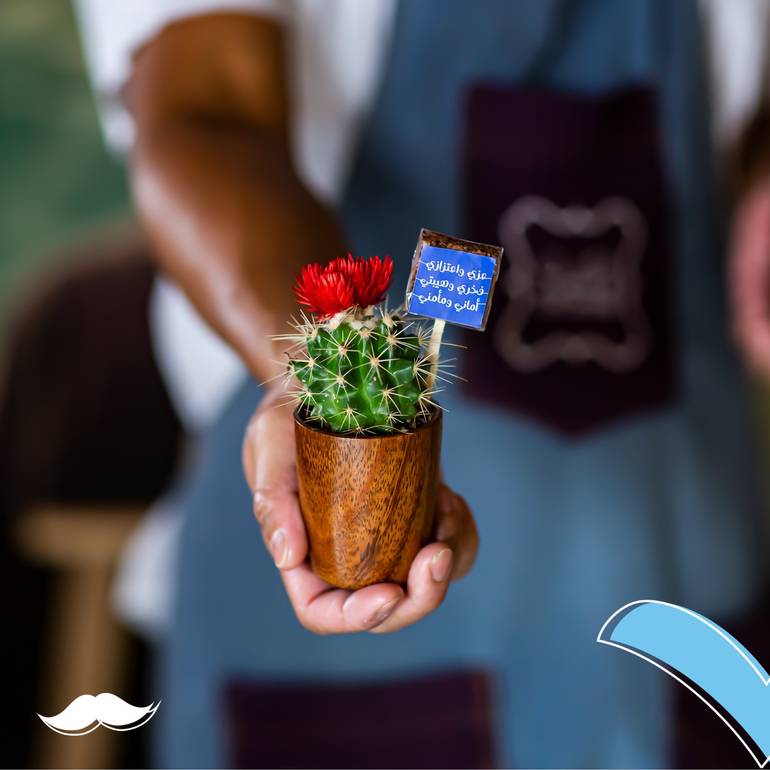 نبتة الصبار بالشوكلا بثيم يوم الرجل 