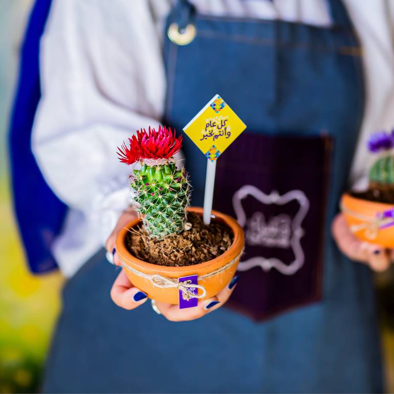 صبارات لوكنفس بالفخار - ثيم العيد 