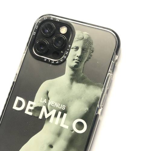 iPhone 12pro max
