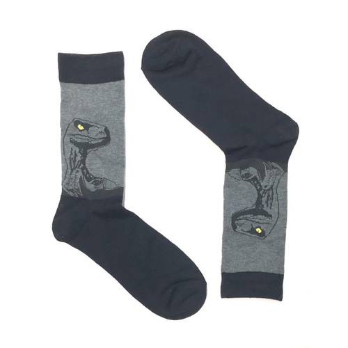 dinosaur sock 