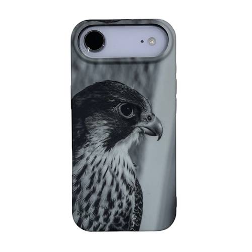 iphone 17 الصقر