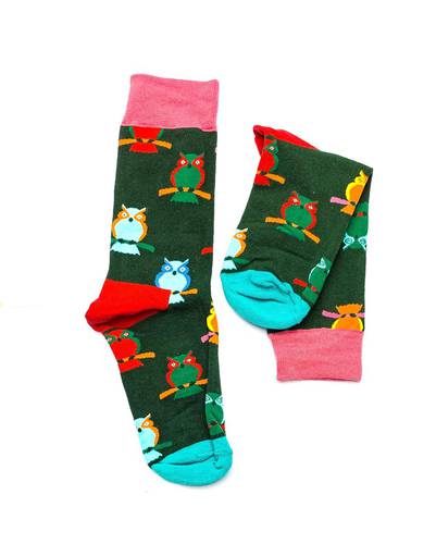 owls sock