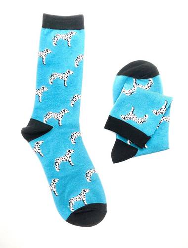 dog sock