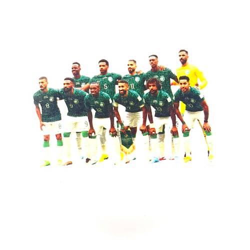 ستيكر الصقور 