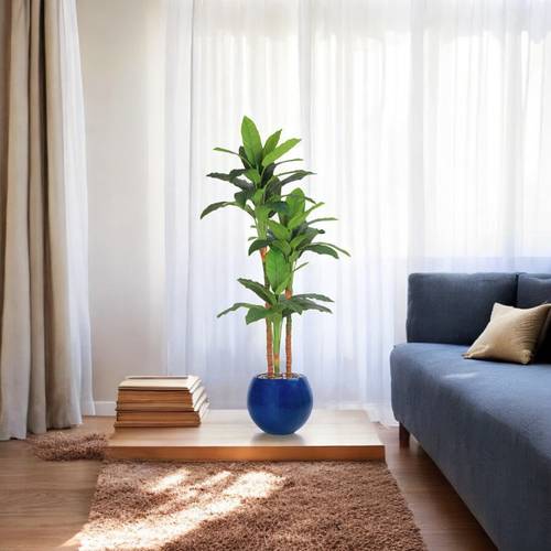 شجرة الموز 3 فروع  - 210 سم - حوض فيبر - ازرق