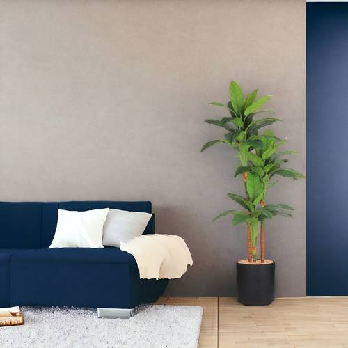 شجرة الموز 3 فروع  - 210 سم - حوض بلاستيك - اسود