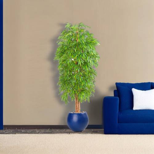 شجرة البامبو - 220 سم - حوض فيبر - ازرق