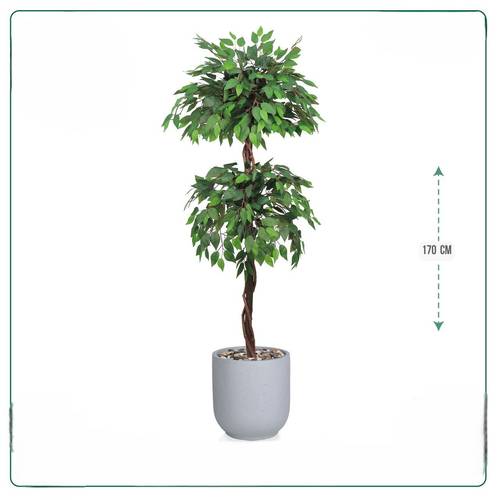 شجر فيكس حوض فايبر  رمادي 170سم 