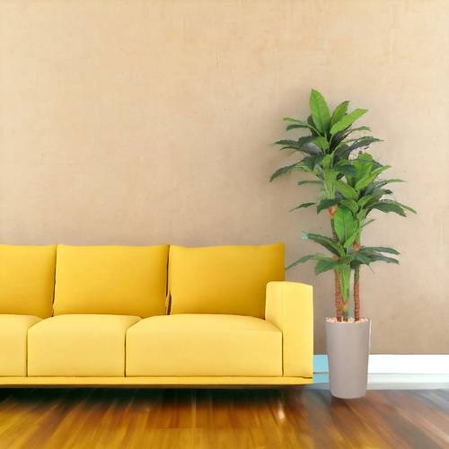 شجرة الموز 3 فروع  - 225 سم - حوض بلاستيك - ابيض