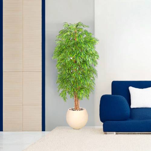 شجرة البامبو - 220 سم - حوض فيبر - بيج