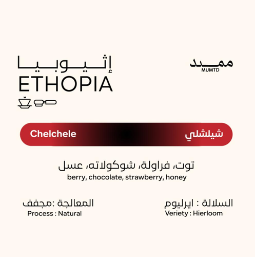 محمصة ممتد - شيلشلي - 250 جرام 