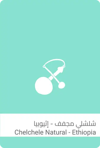 محمصة سلالات القهوة - شلشلي - 1 كيلو 