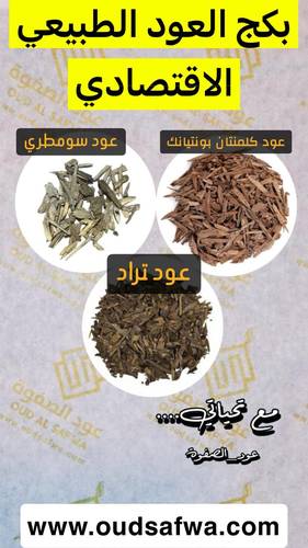 بكج العود الطبيعي الاقتصادي