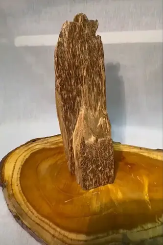 كسرة عود سومطري طبيعي