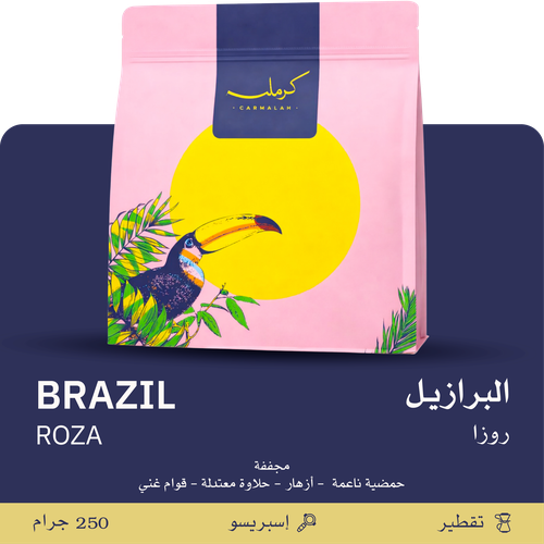البرازيل - روز