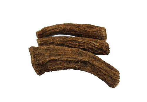 عود قسط هندي 