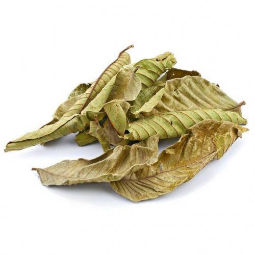 ورق الجوافه 