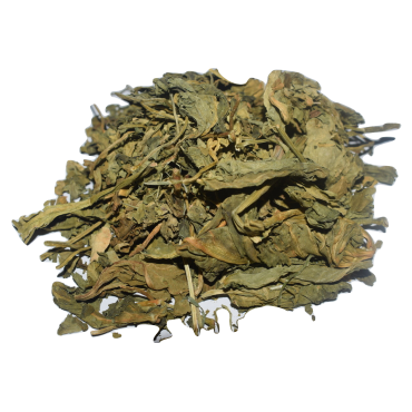 عباية السيدة 