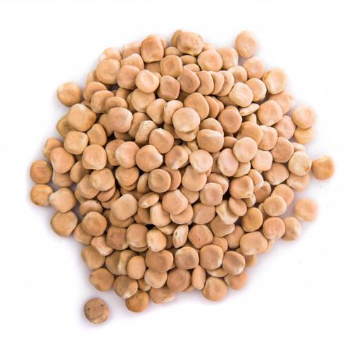 ترمس مر 