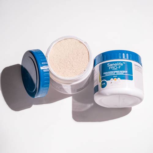 Sanolife™ PRO-F – مُحفّز للنمو وبروبيوتيك لتغذية الأسماك