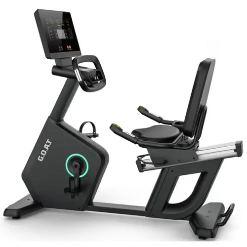 Commercial Recumbent Bike LED