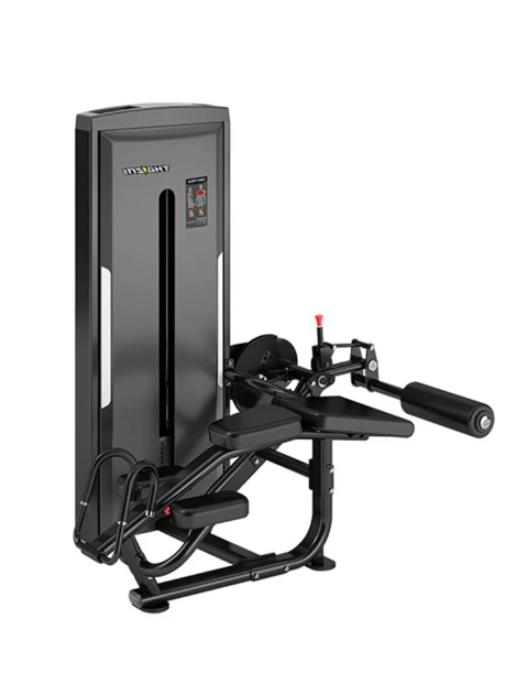 Insight Fitness Leg Curl SA015E