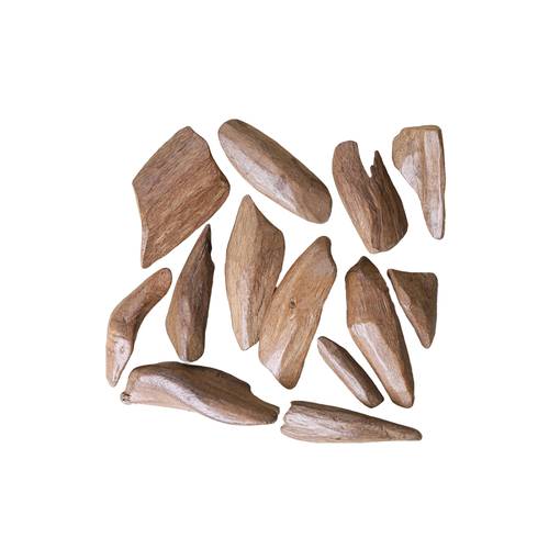 عود مروكي سوبر + سوبر مرتفع كسر ذهبيه طبيعي