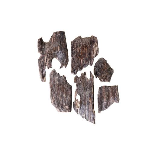 عود سومطري سوبر مرتفع + دبل سوبر طبيعي 