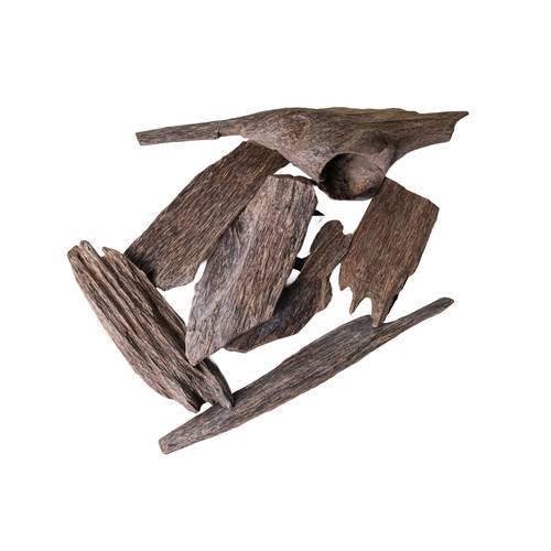 عود سومطري سوبر مرتفع طبيعي