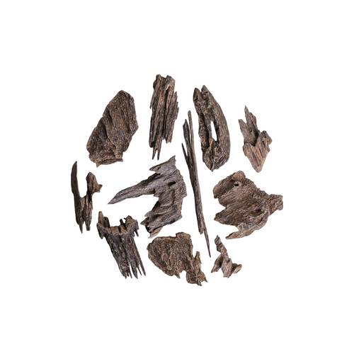 عود جنوب تايلاند نادر