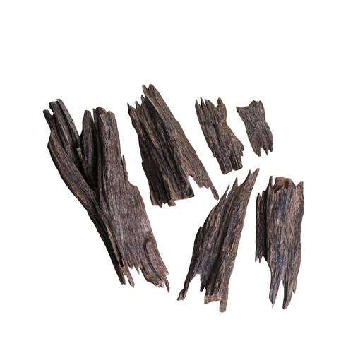 عود هندي بوتان نادر