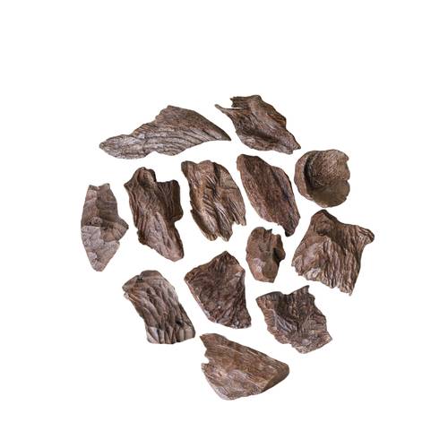 عود سيلاني سوبر طبيعي