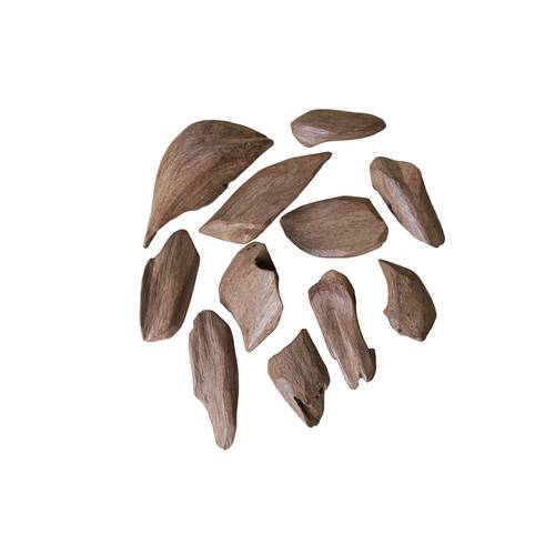  عود مروكي سوبر + سوبر مرتفع طبيعي