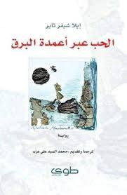 الحب عبر أعمدة البرق