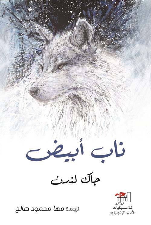 ناب أبيض
